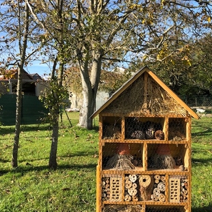 hôtel à insectes